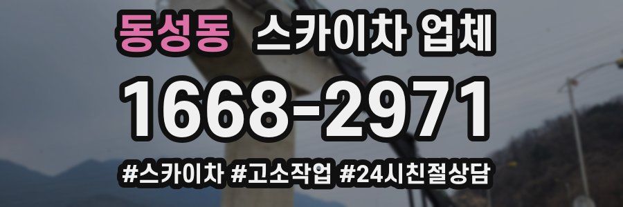 동성동 스카이차 업체