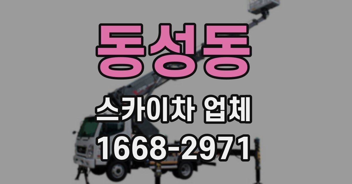 동성동 스카이차 업체