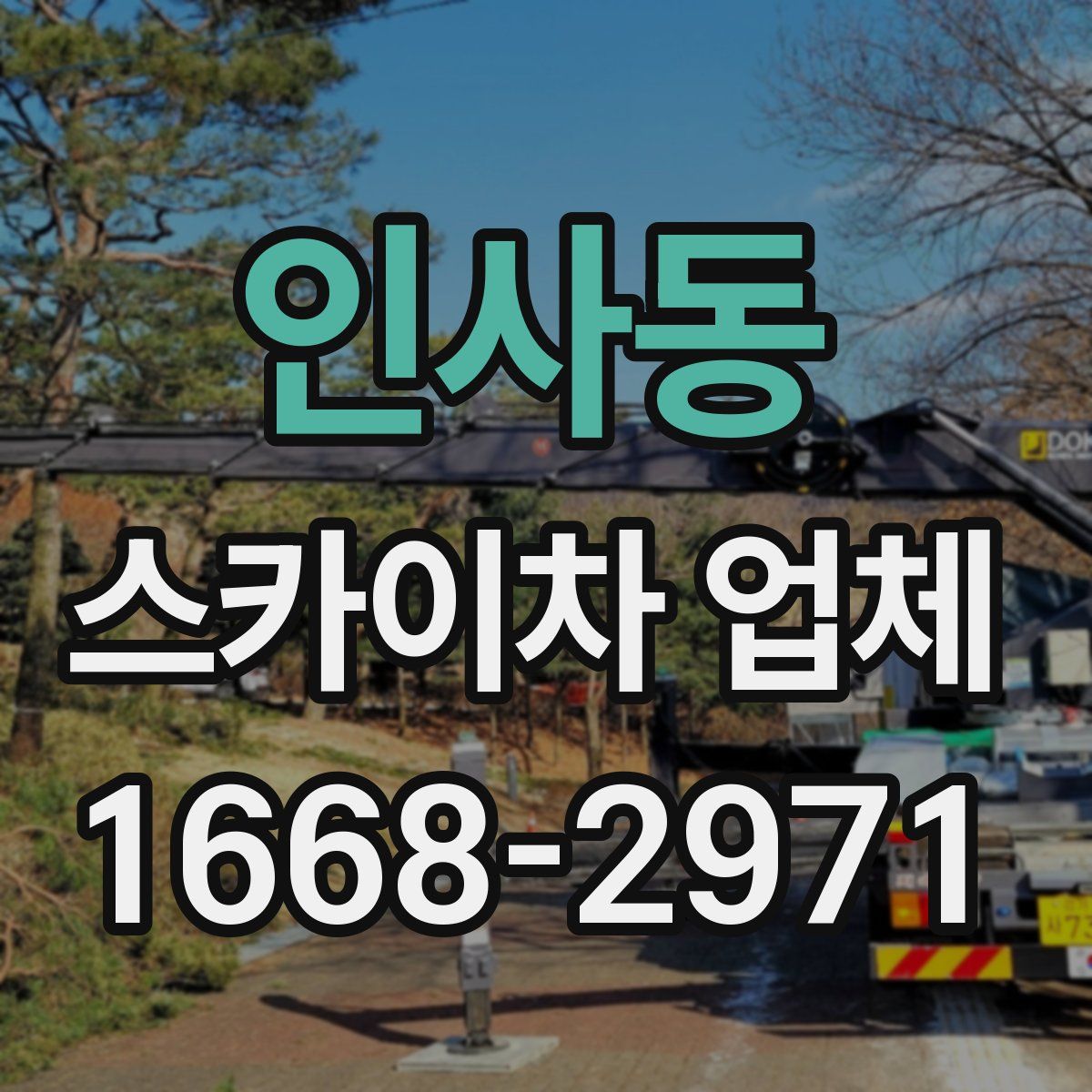 인사동 스카이차 업체