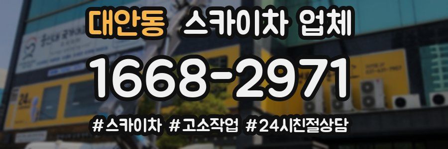 대안동 스카이차 업체