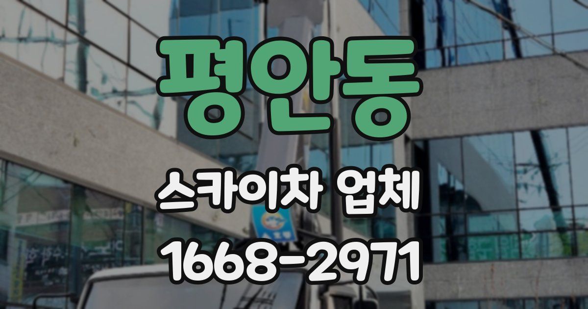 평안동 스카이차 업체