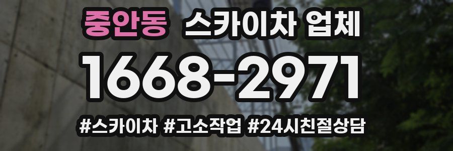 중안동 스카이차 업체