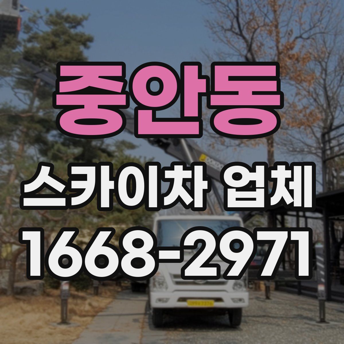 중안동 스카이차 업체