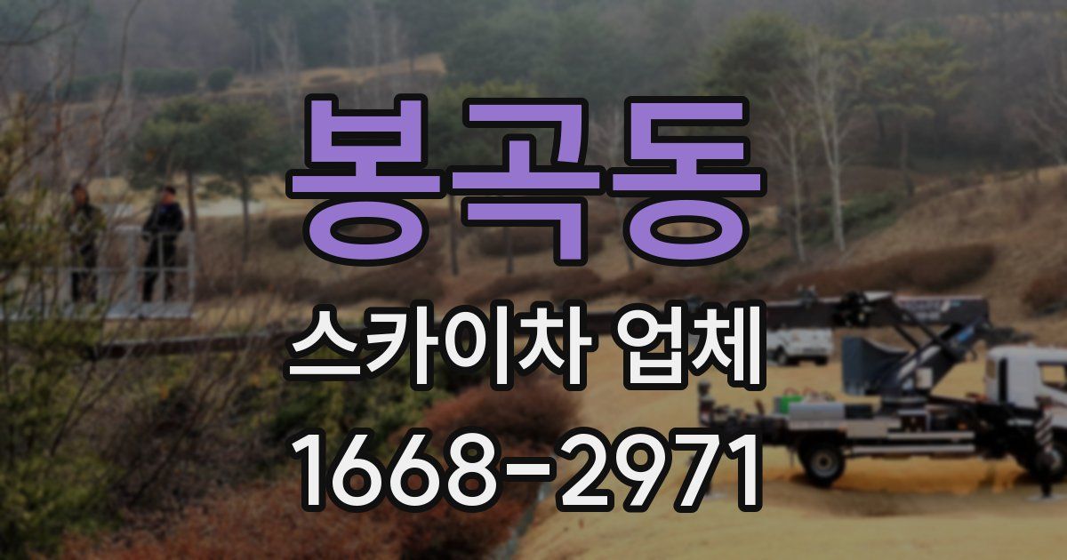 봉곡동 스카이차 업체