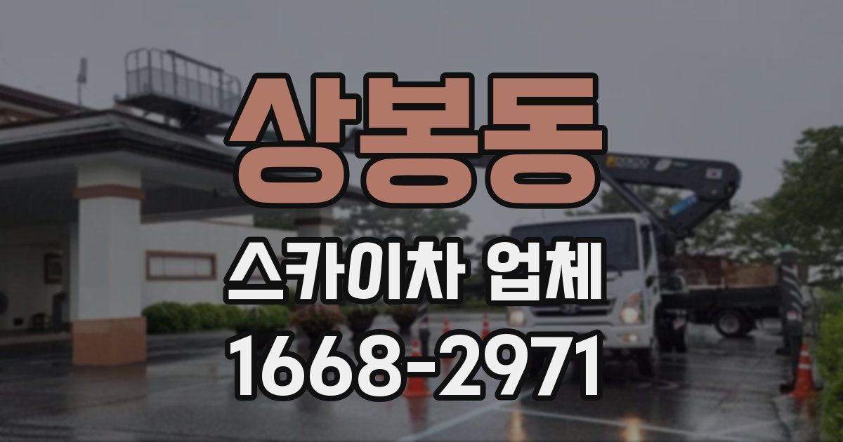 상봉동 스카이차 업체