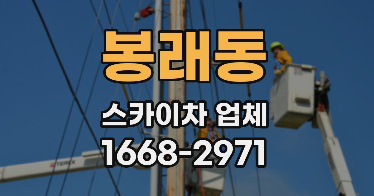 봉래동 스카이차 업체