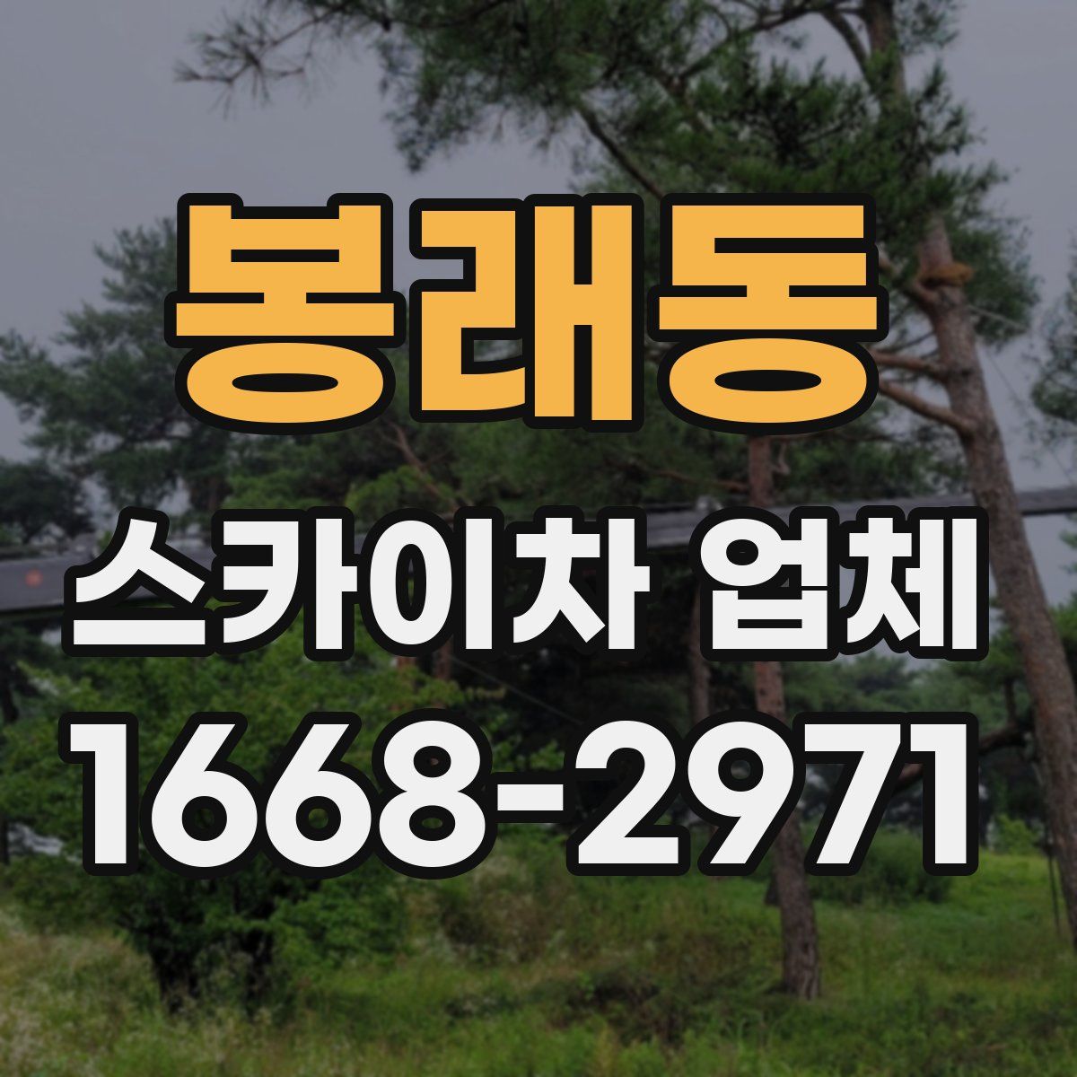 봉래동 스카이차 업체