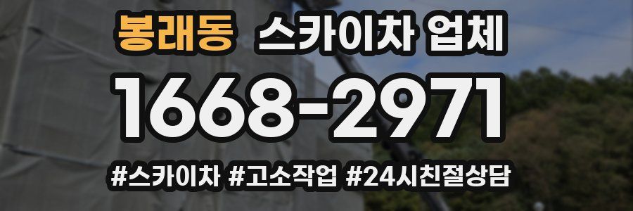 봉래동 스카이차 업체