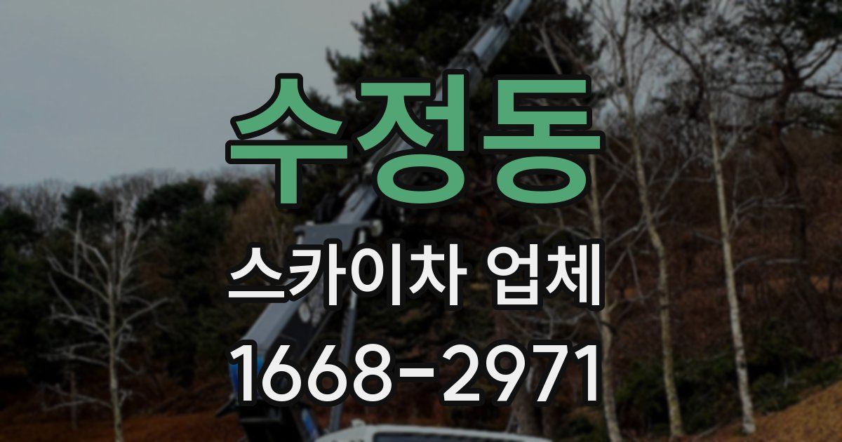 수정동 스카이차 업체