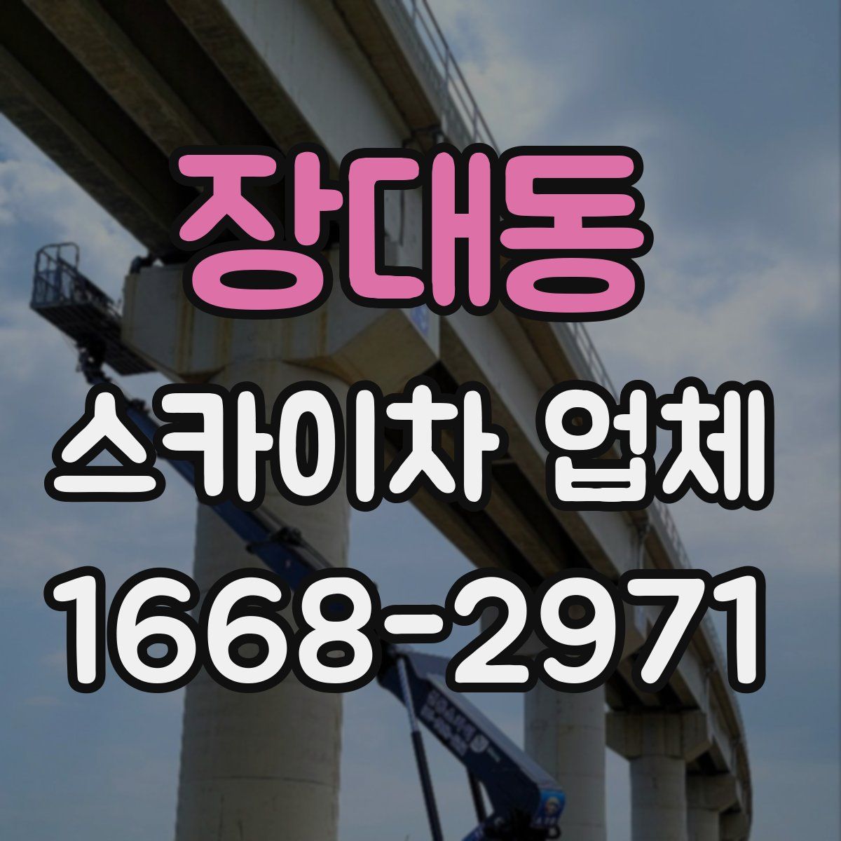 장대동 스카이차 업체