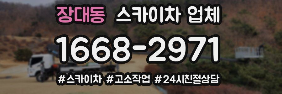 장대동 스카이차 업체