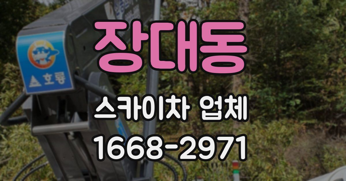 장대동 스카이차 업체