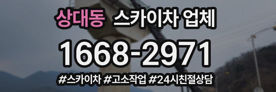 상대동 스카이차 업체