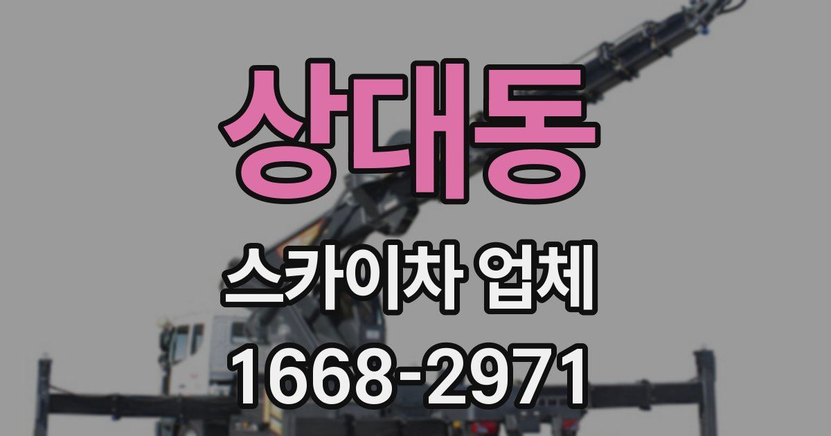 상대동 스카이차 업체