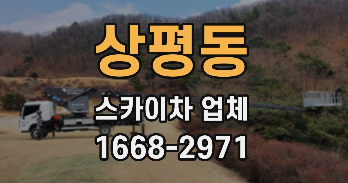 상평동 스카이차 업체