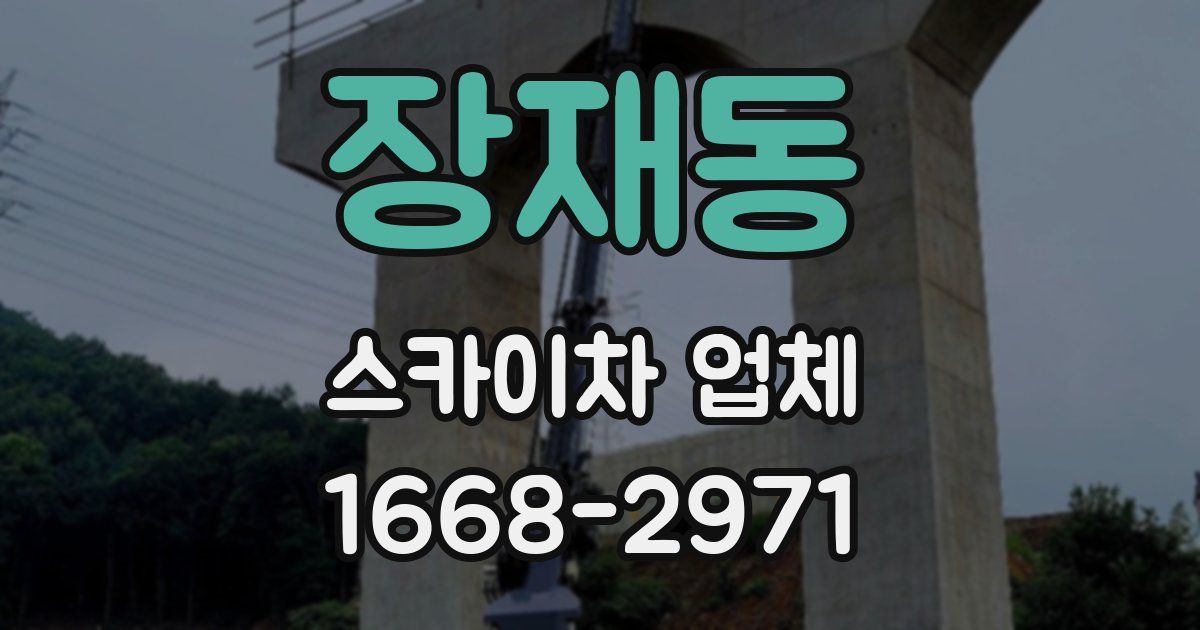 장재동 스카이차 업체