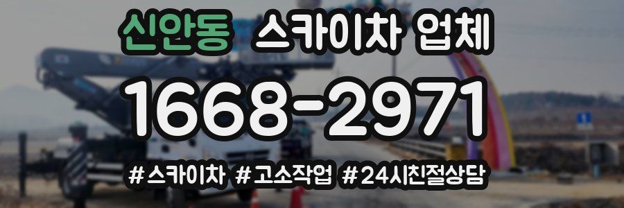 신안동 스카이차 업체