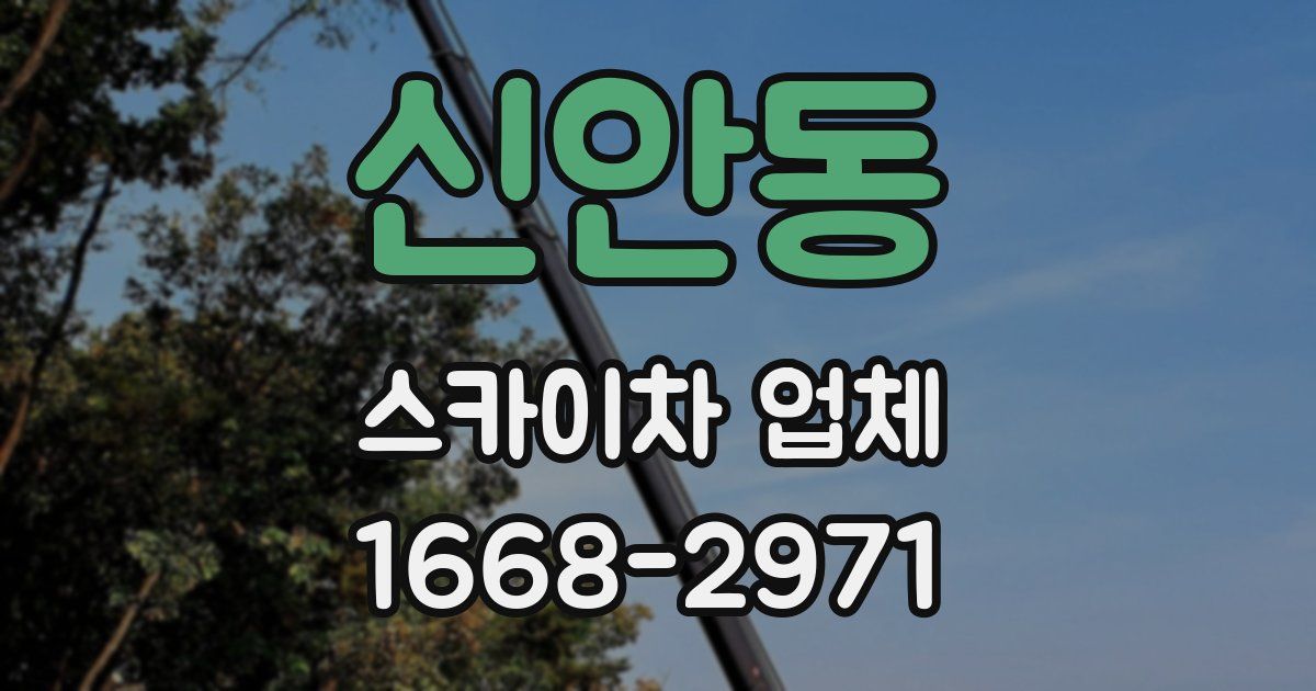 신안동 스카이차 업체