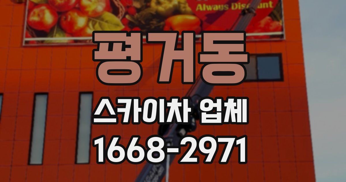평거동 스카이차 업체