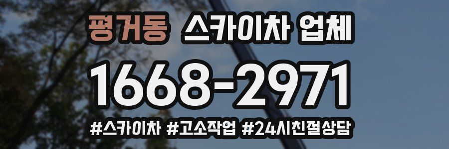 평거동 스카이차 업체