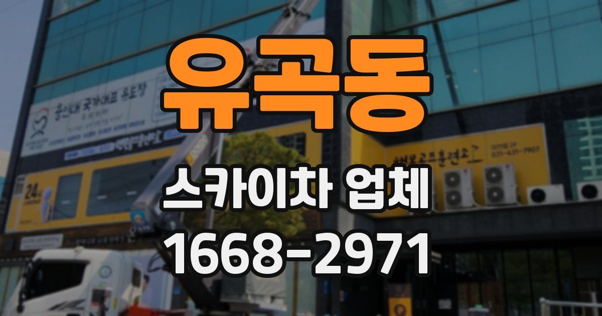 유곡동 스카이차 업체