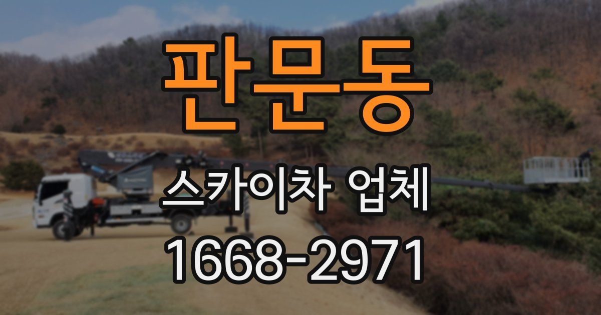 판문동 스카이차 업체