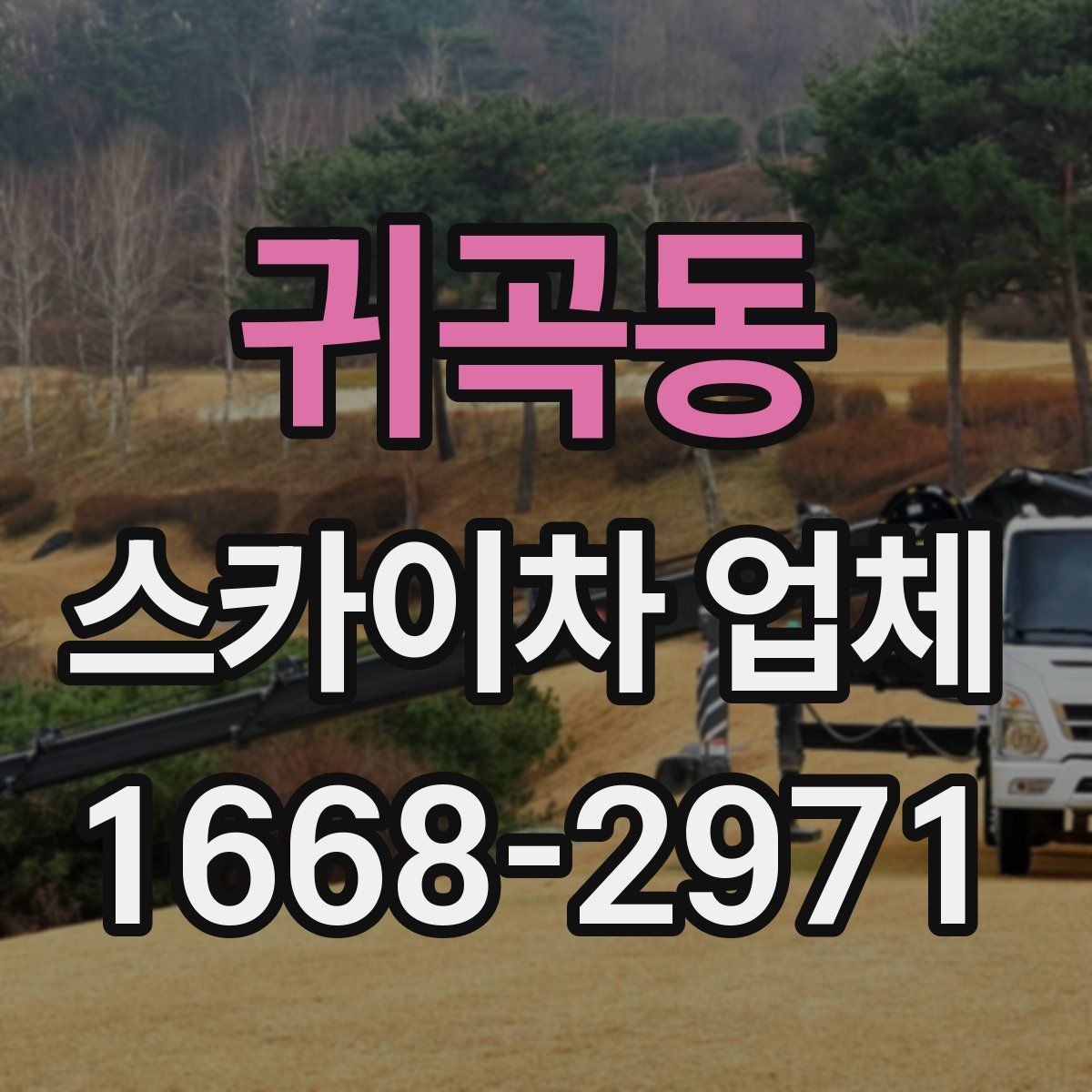 귀곡동 스카이차 업체