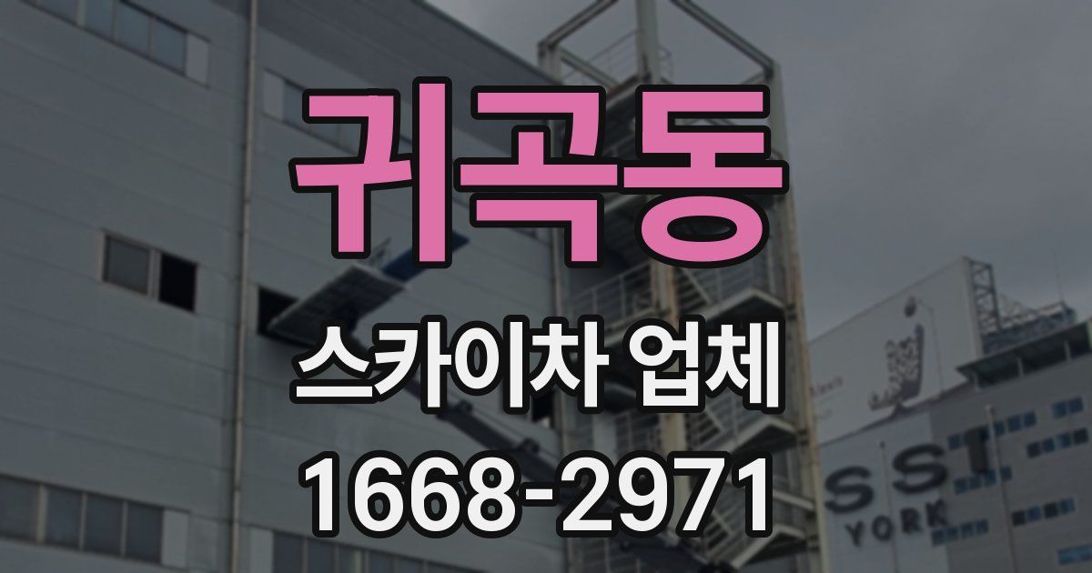 귀곡동 스카이차 업체