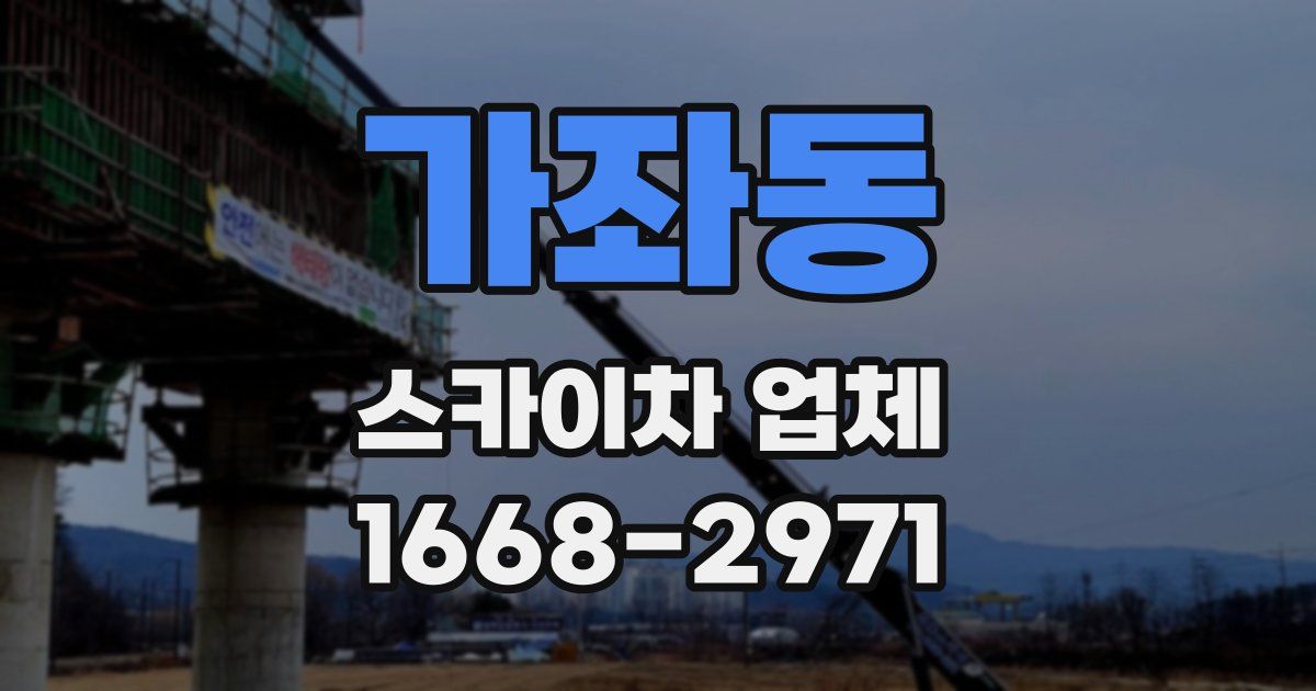 가좌동 스카이차 업체