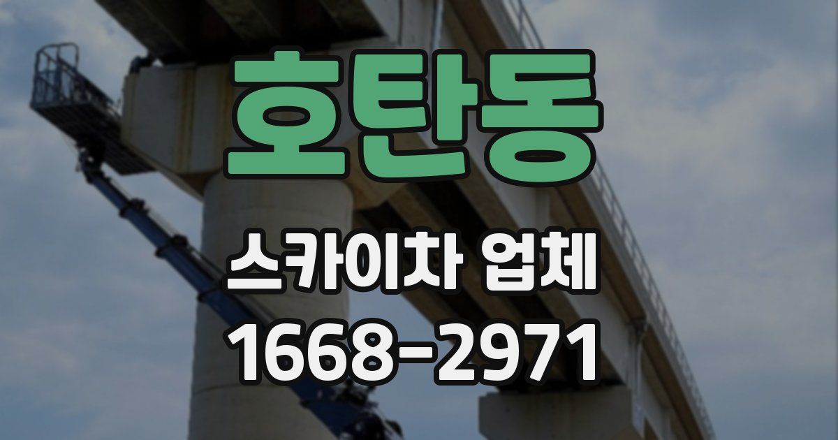 호탄동 스카이차 업체