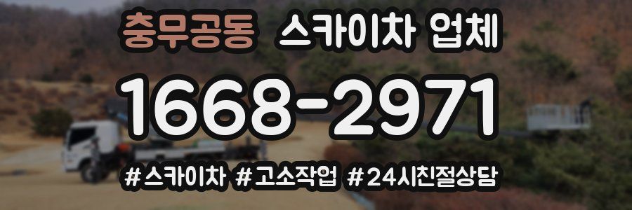 충무공동 스카이차 업체