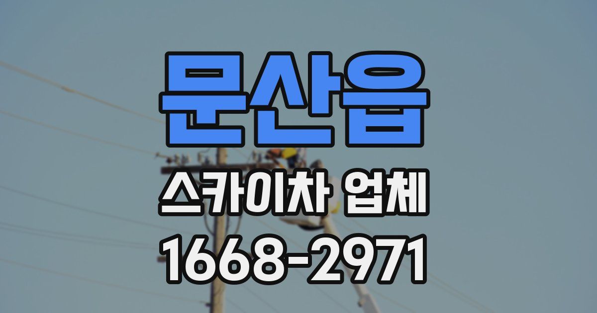 문산읍 스카이차 업체