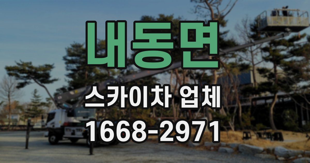 내동면 스카이차 업체