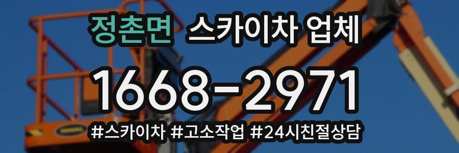 정촌면 스카이차 업체