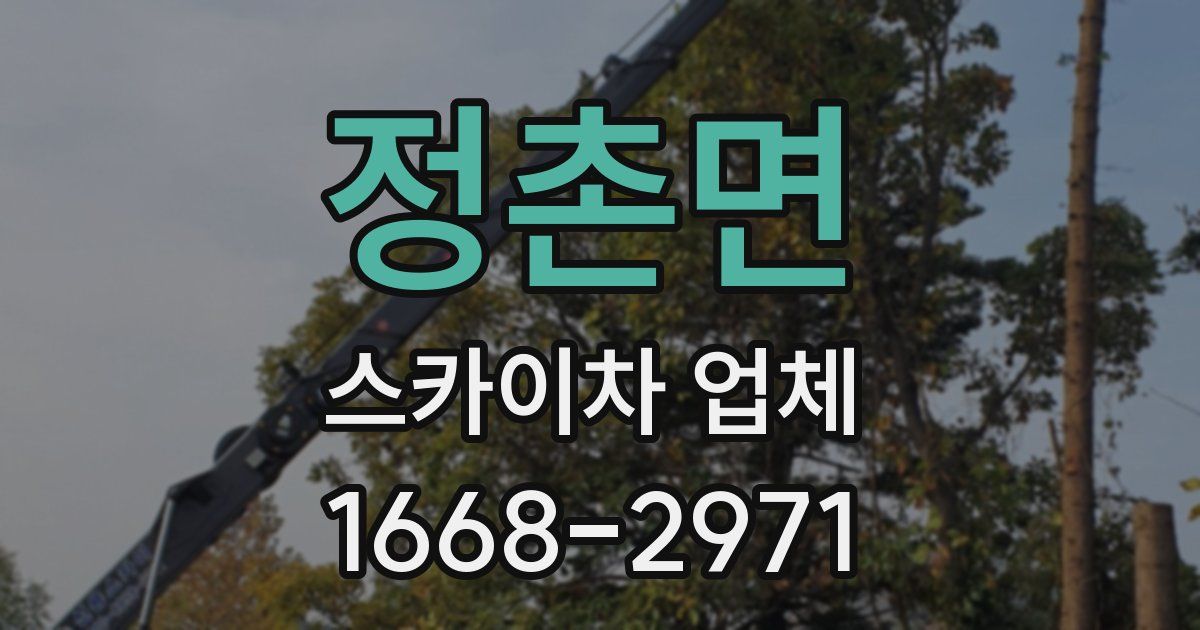 정촌면 스카이차 업체
