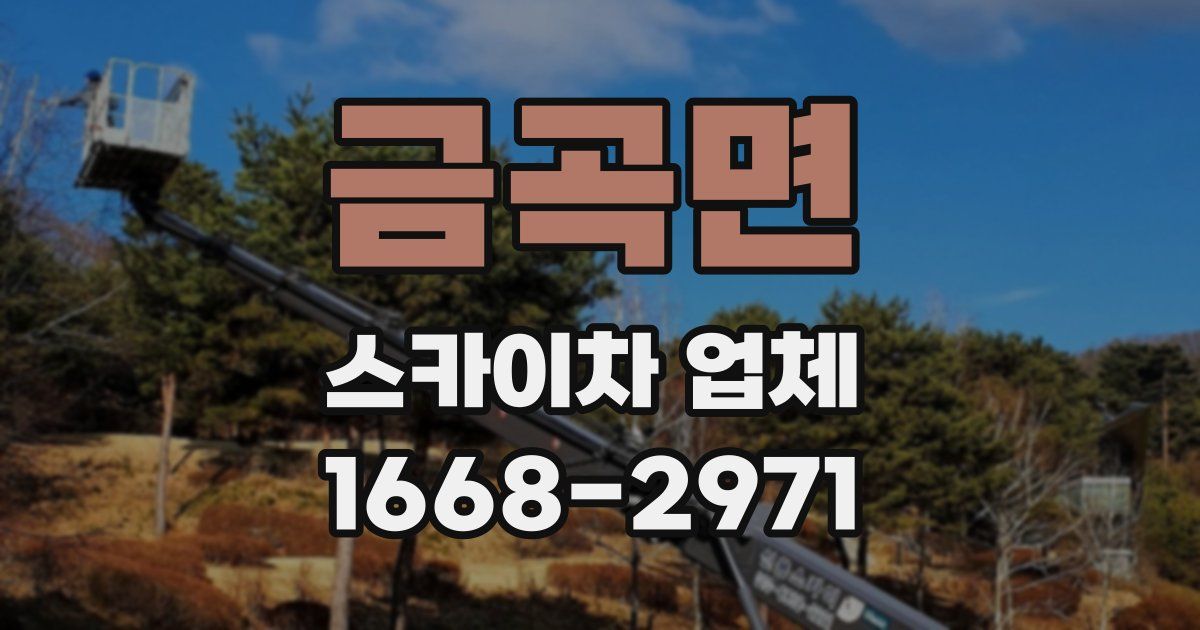금곡면 스카이차 업체