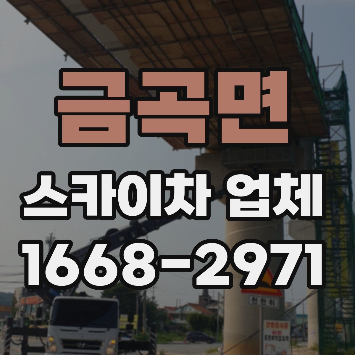 금곡면 스카이차 업체