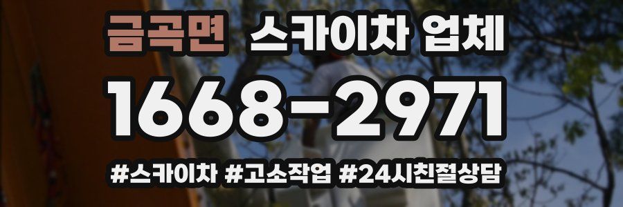 금곡면 스카이차 업체