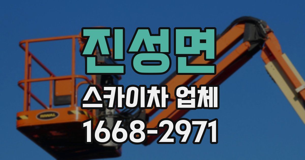 진성면 스카이차 업체
