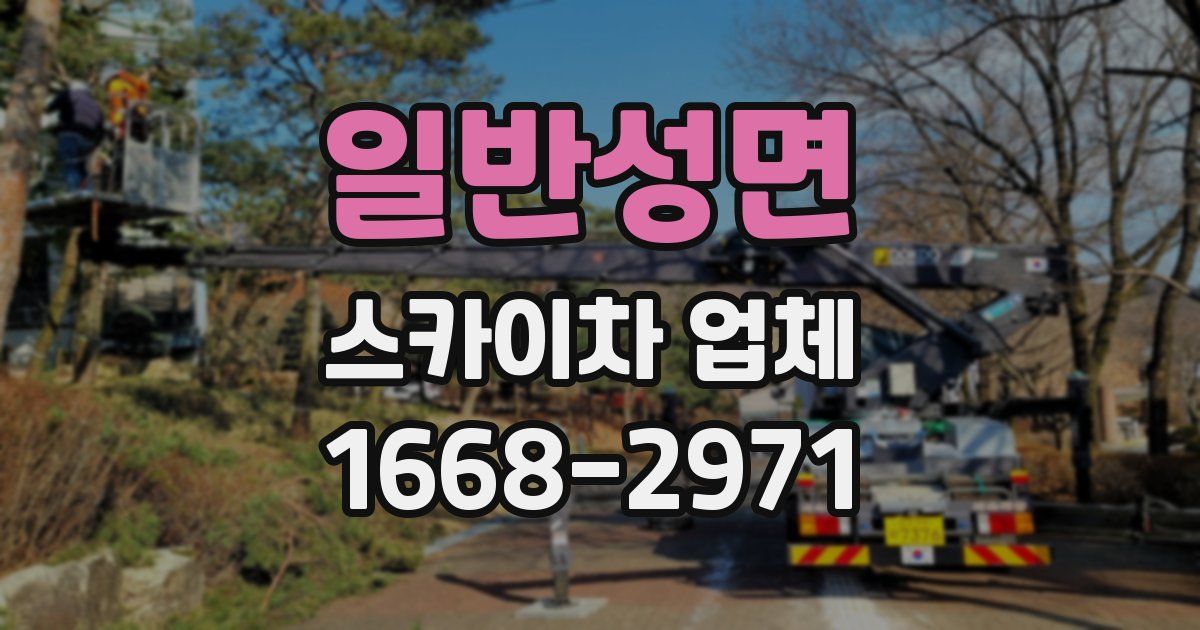 일반성면 스카이차 업체