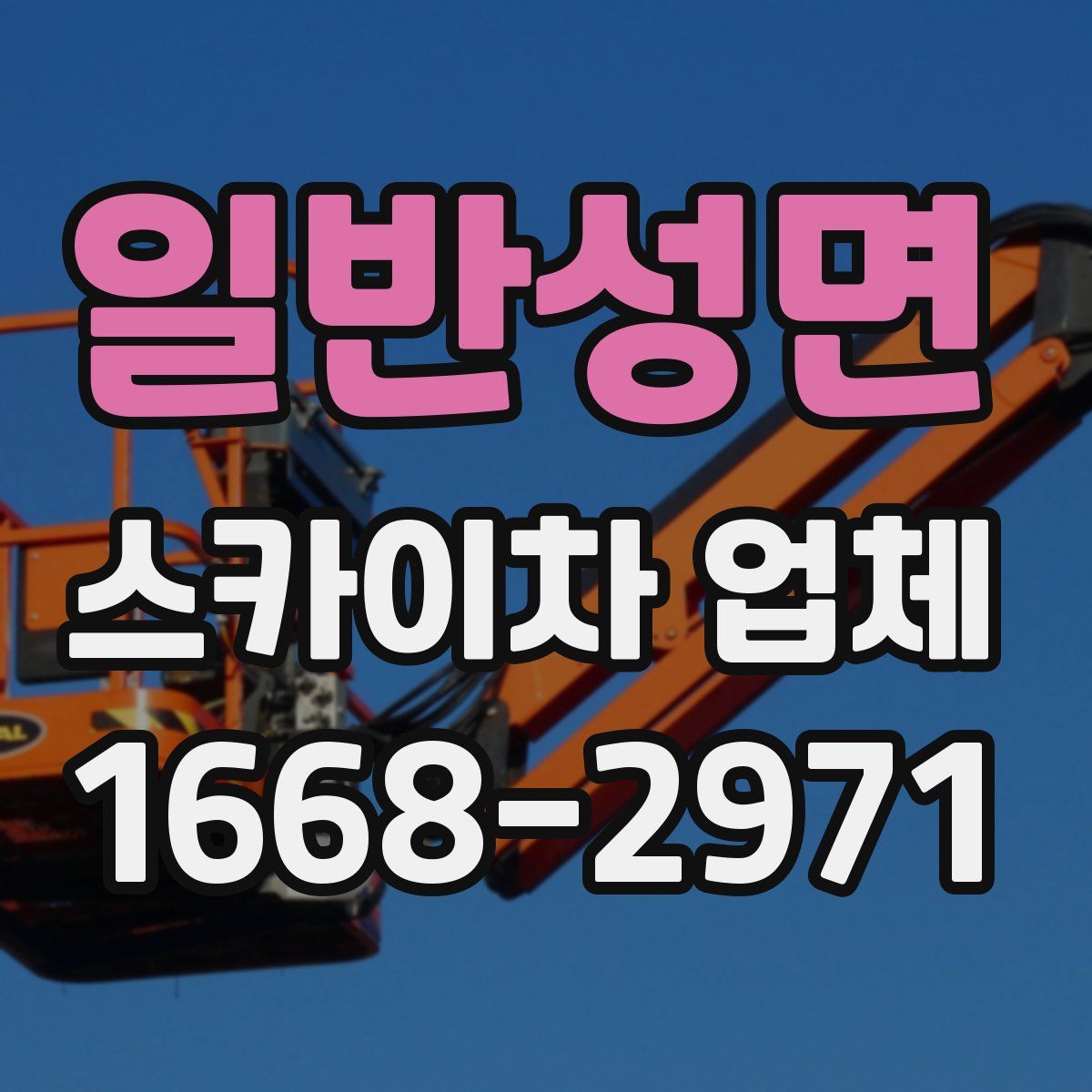 일반성면 스카이차 업체