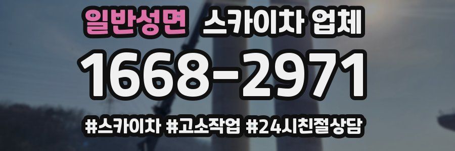 일반성면 스카이차 업체