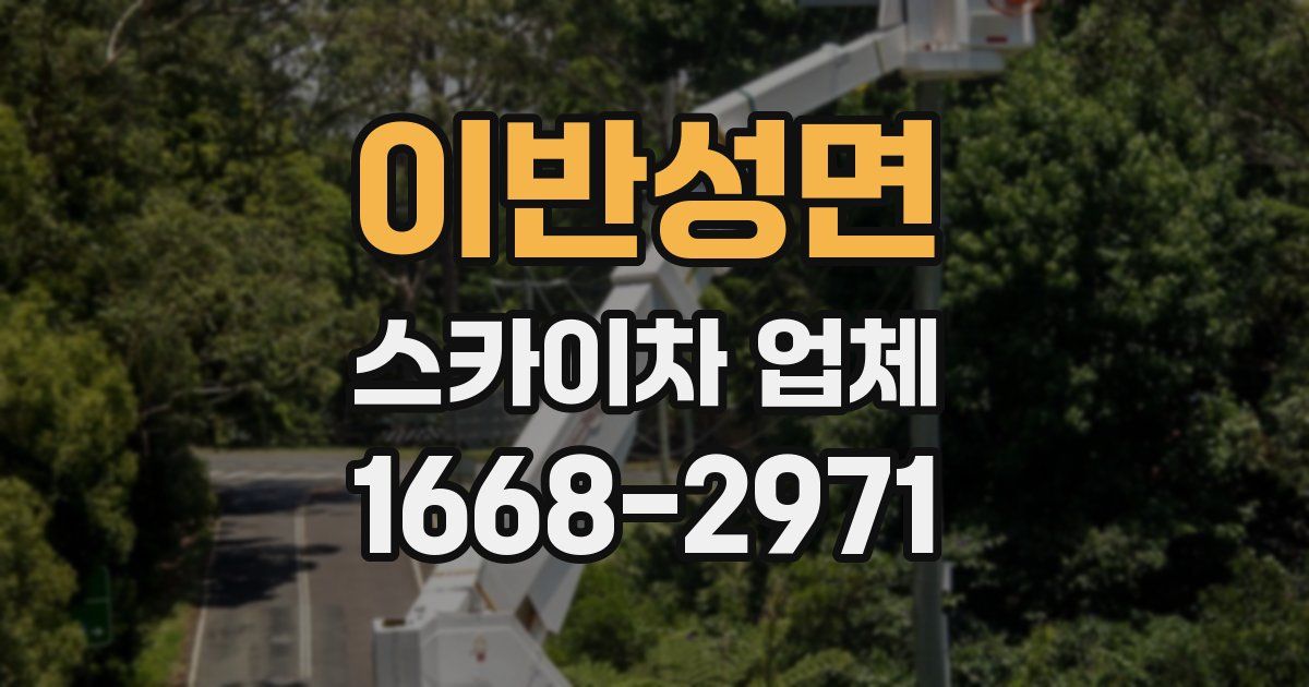 이반성면 스카이차 업체