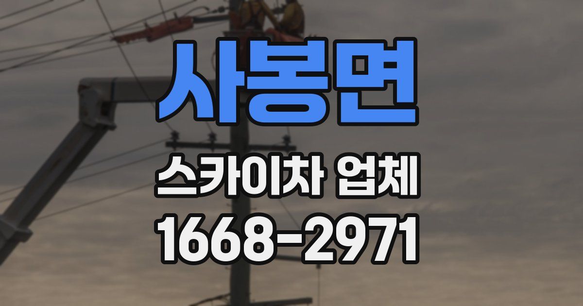 사봉면 스카이차 업체