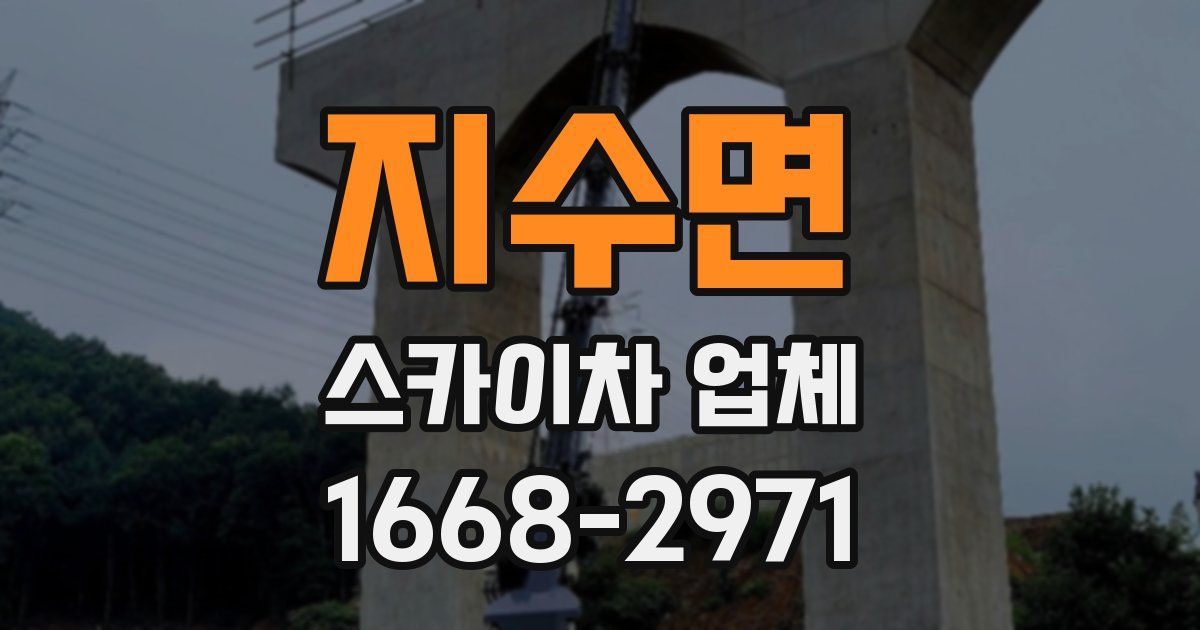 지수면 스카이차 업체
