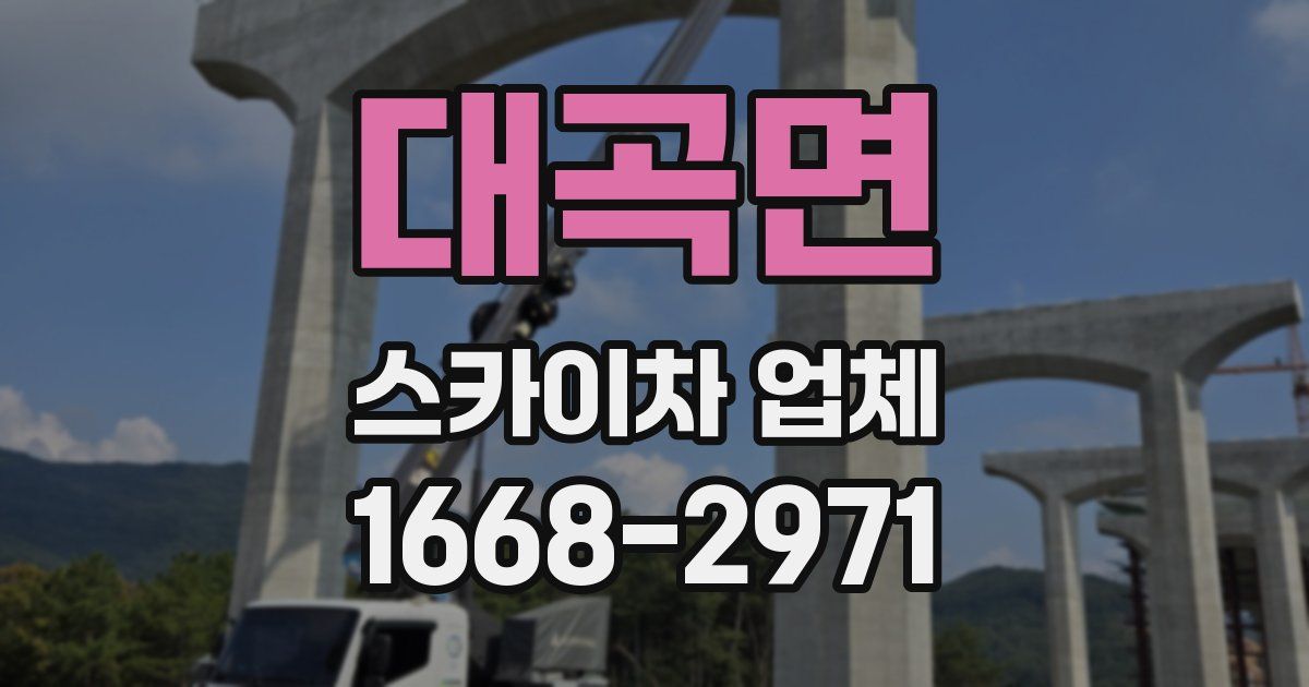 대곡면 스카이차 업체