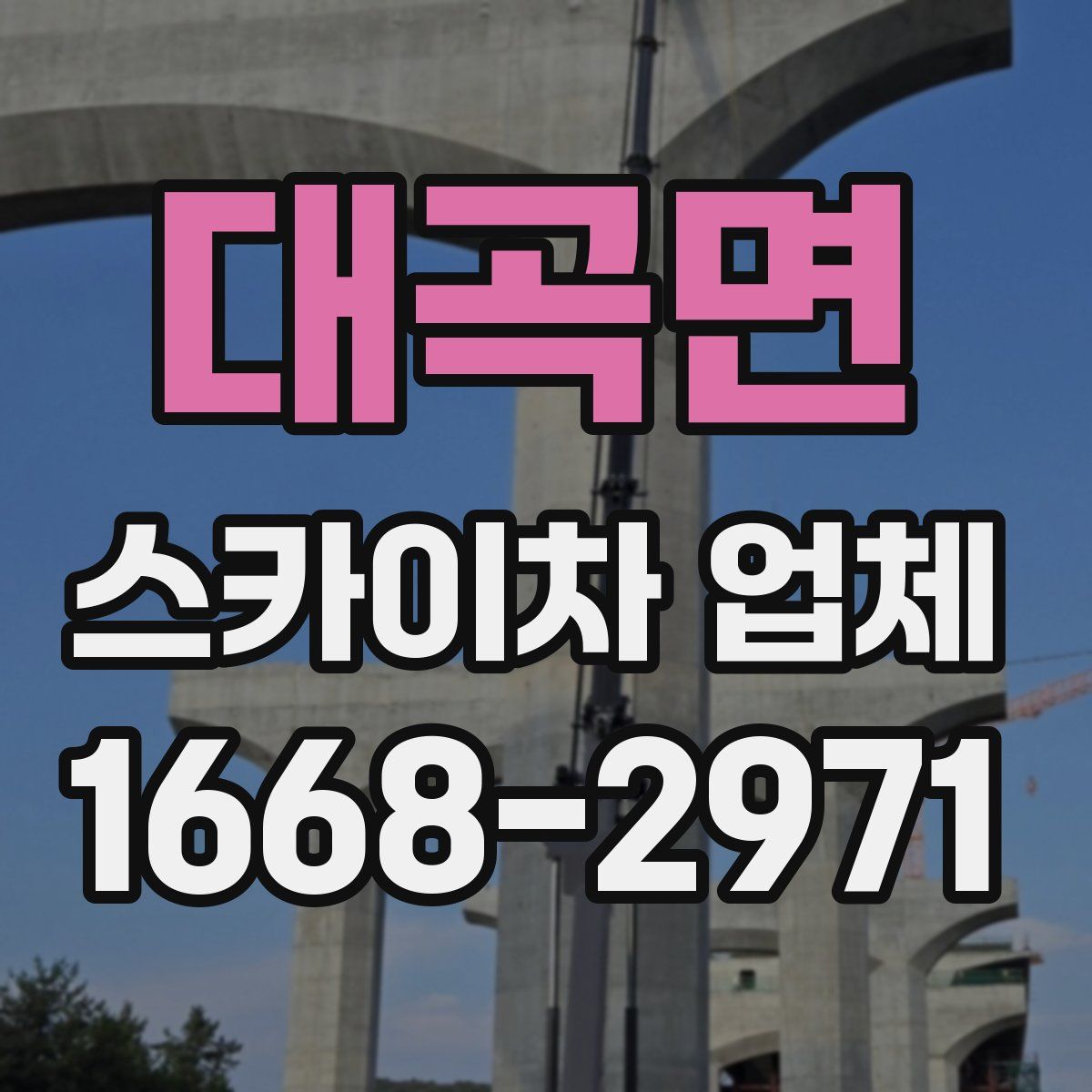 대곡면 스카이차 업체