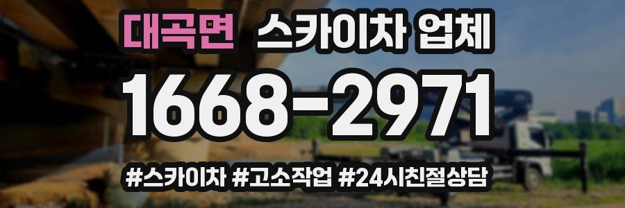 대곡면 스카이차 업체