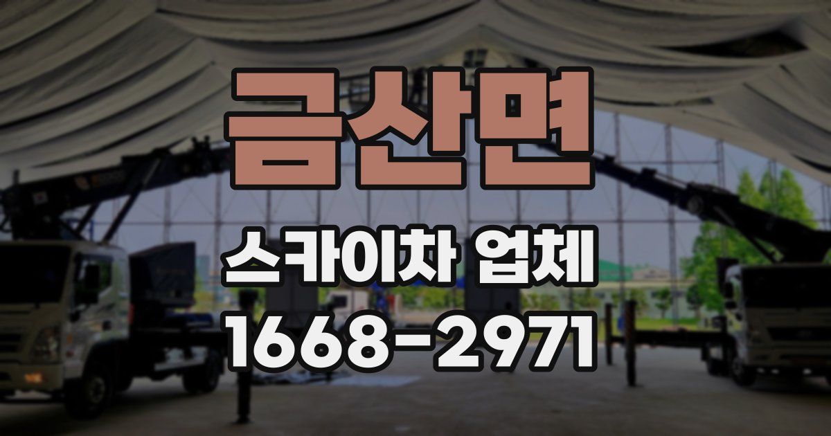 금산면 스카이차 업체