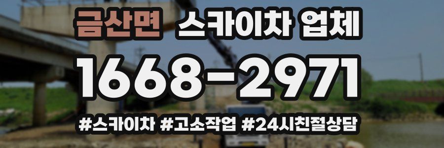 금산면 스카이차 업체
